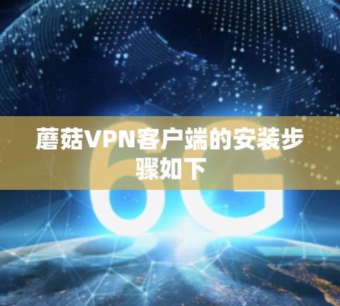 蘑菇VPN客户端的安装步骤如下
