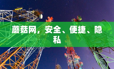 蘑菇网，安全、便捷、隐私
