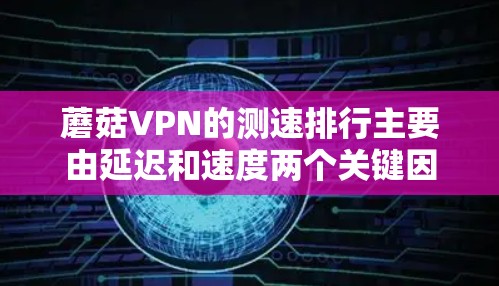 蘑菇VPN的测速排行主要由延迟和速度两个关键因素构成。以下是详细的分析和建议