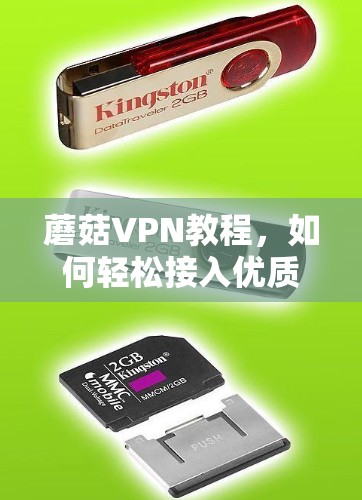 蘑菇VPN教程，如何轻松接入优质VPN