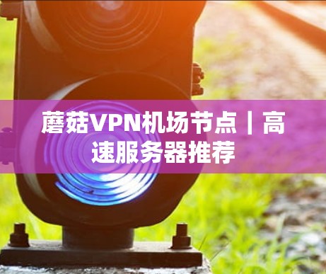 蘑菇VPN机场节点｜高速服务器推荐