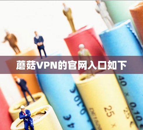 蘑菇VPN的官网入口如下
