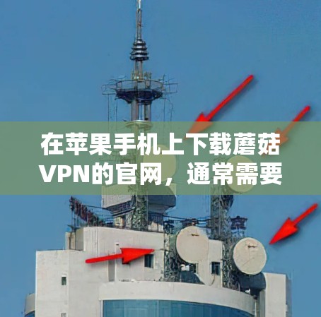 在苹果手机上下载蘑菇VPN的官网，通常需要通过苹果的官方渠道或第三方合作伙伴获取服务。以下是一些步骤和建议