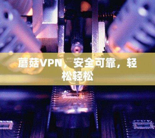 蘑菇VPN，安全可靠，轻松轻松