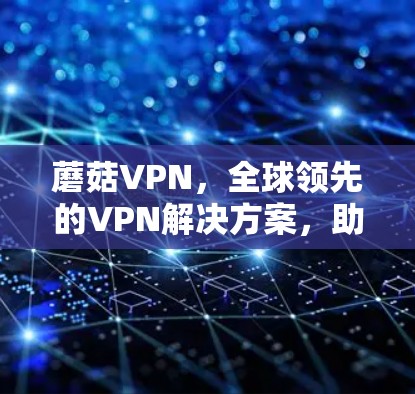蘑菇VPN，全球领先的VPN解决方案，助力您的网络连接更可靠！