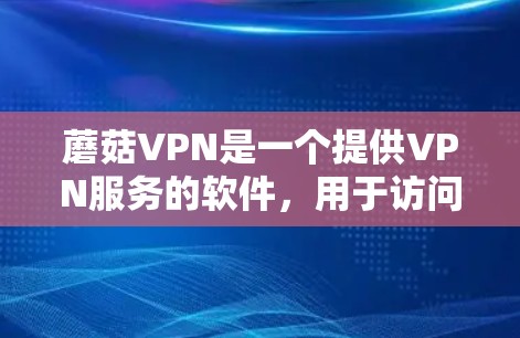 蘑菇VPN是一个提供VPN服务的软件，用于访问国外网站。以下是详细的步骤和建议