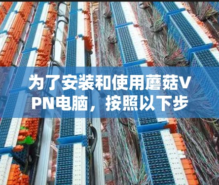 为了安装和使用蘑菇VPN电脑，按照以下步骤操作