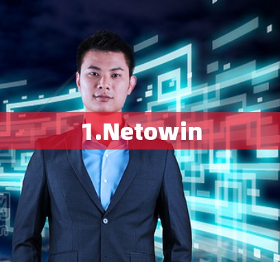 1.Netowin