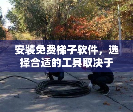 安装免费梯子软件，选择合适的工具取决于你的需求。以下是一个详细的步骤指南