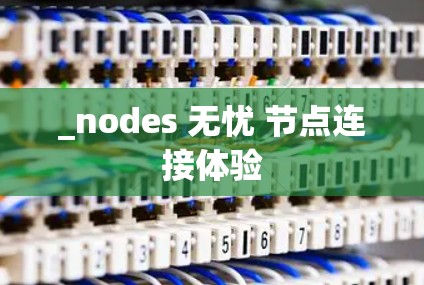 _nodes 无忧 节点连接体验
