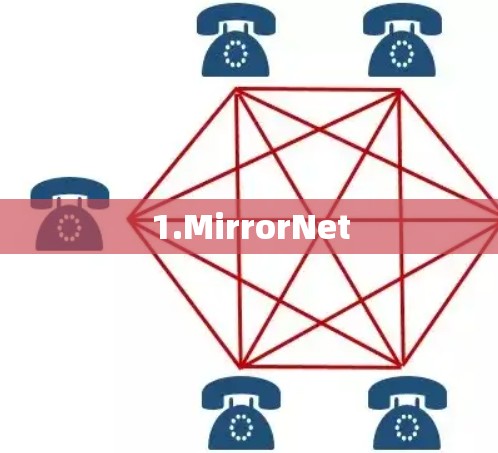 1.MirrorNet
