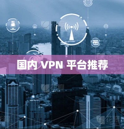 国内 VPN 平台推荐