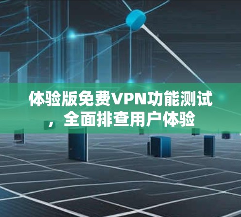 体验版免费VPN功能测试，全面排查用户体验