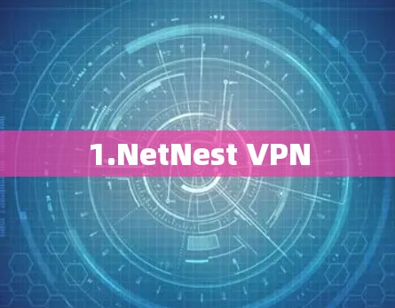 1.NetNest VPN