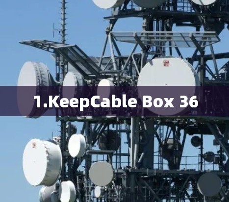 1.KeepCable Box 36