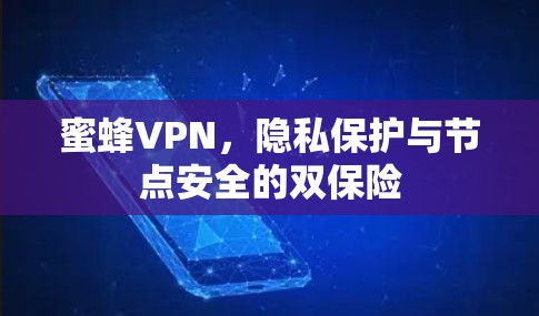 蜜蜂VPN，隐私保护与节点安全的双保险