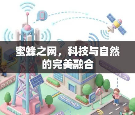 蜜蜂之网，科技与自然的完美融合