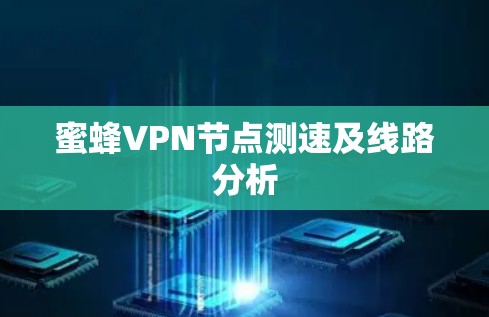 蜜蜂VPN节点测速及线路分析