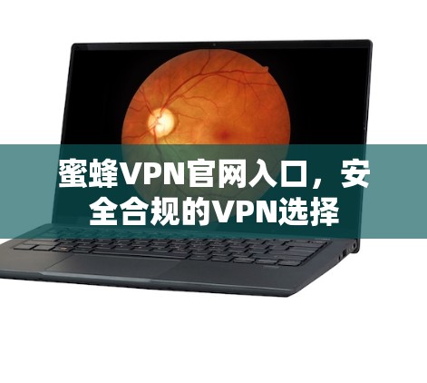 蜜蜂VPN官网入口，安全合规的VPN选择