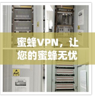 蜜蜂VPN，让您的蜜蜂无忧 flight