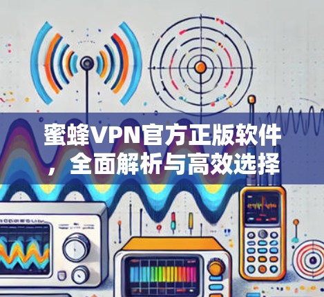 蜜蜂VPN官方正版软件，全面解析与高效选择