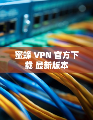 蜜蜂 VPN 官方下载 最新版本