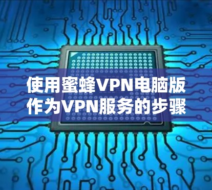 使用蜜蜂VPN电脑版作为VPN服务的步骤如下