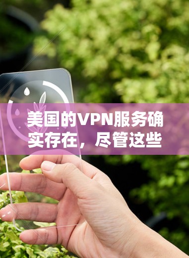 美国的VPN服务确实存在，尽管这些服务大多由美国政府或其盟国运营，但它们仍然遵循相关的法律法规和安全标准。以下是一些主要的美国VPN服务和相关的技术手段