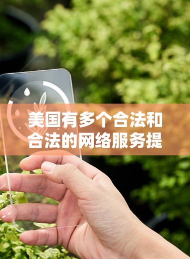 美国有多个合法和合法的网络服务提供商（NSPs）这些提供商执行着包括VPN在内的网络服务。以下是几款美国网络服务提供商（NSPs）和VPN工具