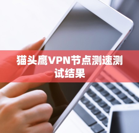 猫头鹰VPN节点测速测试结果