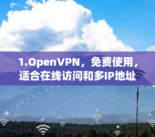 1.OpenVPN，免费使用，适合在线访问和多IP地址访问。需要配置IP地址和设置