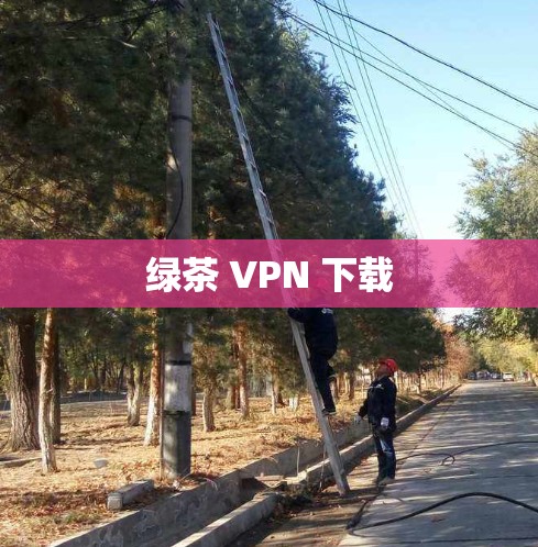 绿茶 VPN 下载