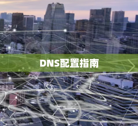 DNS配置指南